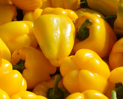 paprika 318208 1920