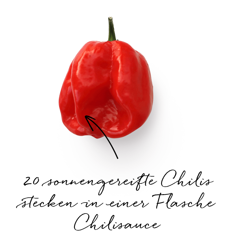 20 sonnengereifte Chilis stecken in einer Flasche Chilisauce.